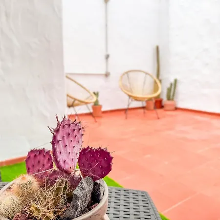 Fee4me 5 Min From Sardina דירה Gáldar